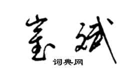 梁锦英崔斌草书个性签名怎么写