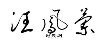 梁锦英汪凤兰草书个性签名怎么写