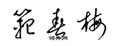 梁锦英范春梅草书个性签名怎么写