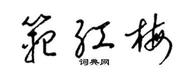 梁锦英范红梅草书个性签名怎么写