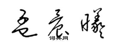 梁锦英孟晨曦草书个性签名怎么写