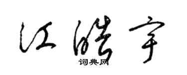 梁锦英江皓宇草书个性签名怎么写