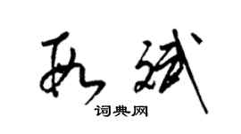 梁锦英段斌草书个性签名怎么写