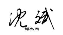 梁锦英沈斌草书个性签名怎么写