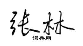 曾庆福张林行书个性签名怎么写