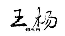 曾庆福王杨行书个性签名怎么写