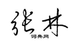 梁锦英张林草书个性签名怎么写