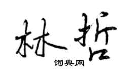 曾庆福林哲行书个性签名怎么写