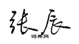 曾庆福张辰行书个性签名怎么写