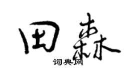 曾庆福田森行书个性签名怎么写