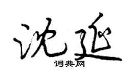 曾庆福沈延行书个性签名怎么写