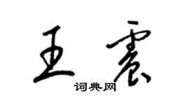 梁锦英王震草书个性签名怎么写