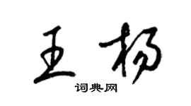 梁锦英王杨草书个性签名怎么写