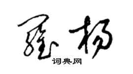 梁锦英罗杨草书个性签名怎么写