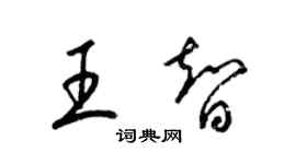 梁锦英王智草书个性签名怎么写