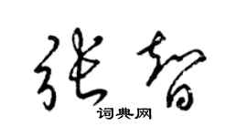 梁锦英张智草书个性签名怎么写