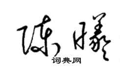 梁锦英陈曦草书个性签名怎么写
