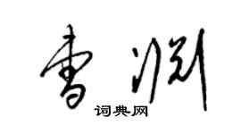 梁锦英曹渊草书个性签名怎么写