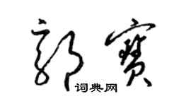 梁锦英郭宝草书个性签名怎么写