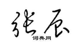 梁锦英张辰草书个性签名怎么写