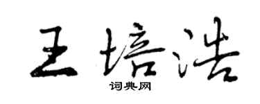 曾庆福王培浩行书个性签名怎么写