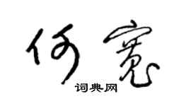 梁锦英何宽草书个性签名怎么写