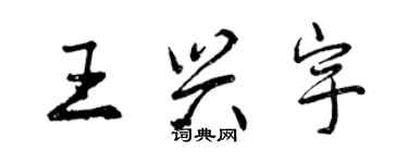 曾庆福王兴宇行书个性签名怎么写