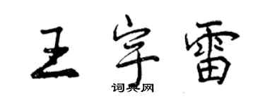 曾庆福王宇雷行书个性签名怎么写