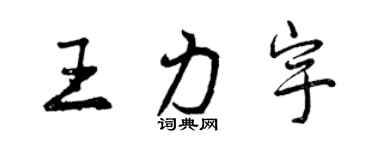 曾庆福王力宇行书个性签名怎么写