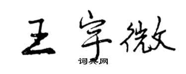 曾庆福王宇微行书个性签名怎么写