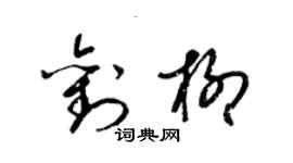 梁锦英刘柳草书个性签名怎么写