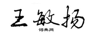曾庆福王敏扬行书个性签名怎么写