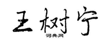 曾庆福王树宁行书个性签名怎么写