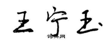 曾庆福王宁玉行书个性签名怎么写