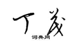 梁锦英丁茂草书个性签名怎么写