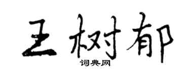 曾庆福王树郁行书个性签名怎么写