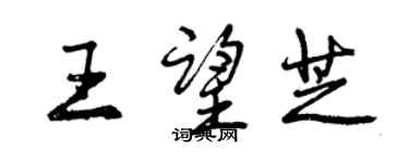 曾庆福王望芝行书个性签名怎么写