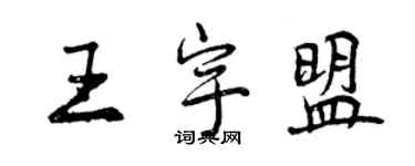 曾庆福王宇盟行书个性签名怎么写
