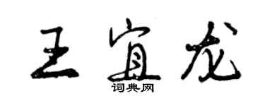 曾庆福王宜龙行书个性签名怎么写