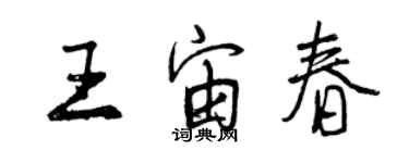 曾庆福王宙春行书个性签名怎么写