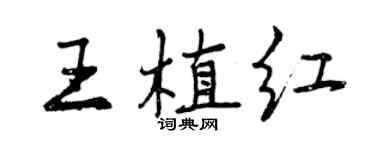 曾庆福王植红行书个性签名怎么写