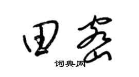 梁锦英田密草书个性签名怎么写
