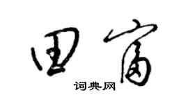 梁锦英田富草书个性签名怎么写