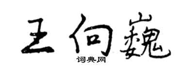 曾庆福王向巍行书个性签名怎么写