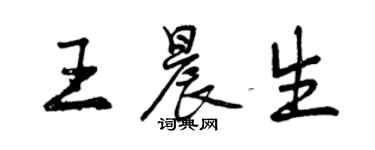 曾庆福王晨生行书个性签名怎么写