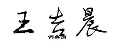 曾庆福王吉晨行书个性签名怎么写