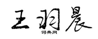 曾庆福王羽晨行书个性签名怎么写
