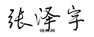 曾庆福张泽宇行书个性签名怎么写