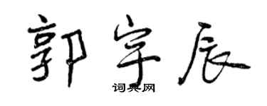 曾庆福郭宇辰行书个性签名怎么写