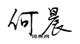 曾庆福何晨行书个性签名怎么写